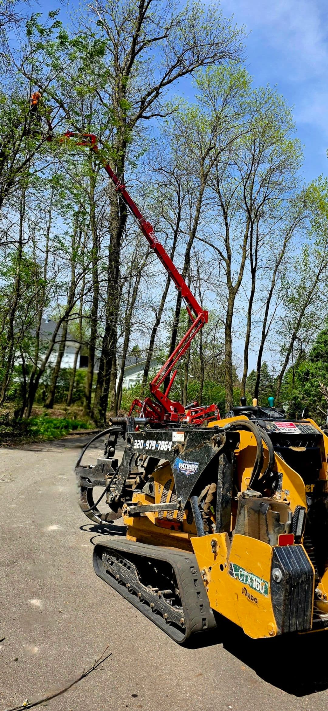 Project Hazardous Tree Removal Done Right in Litchfield image