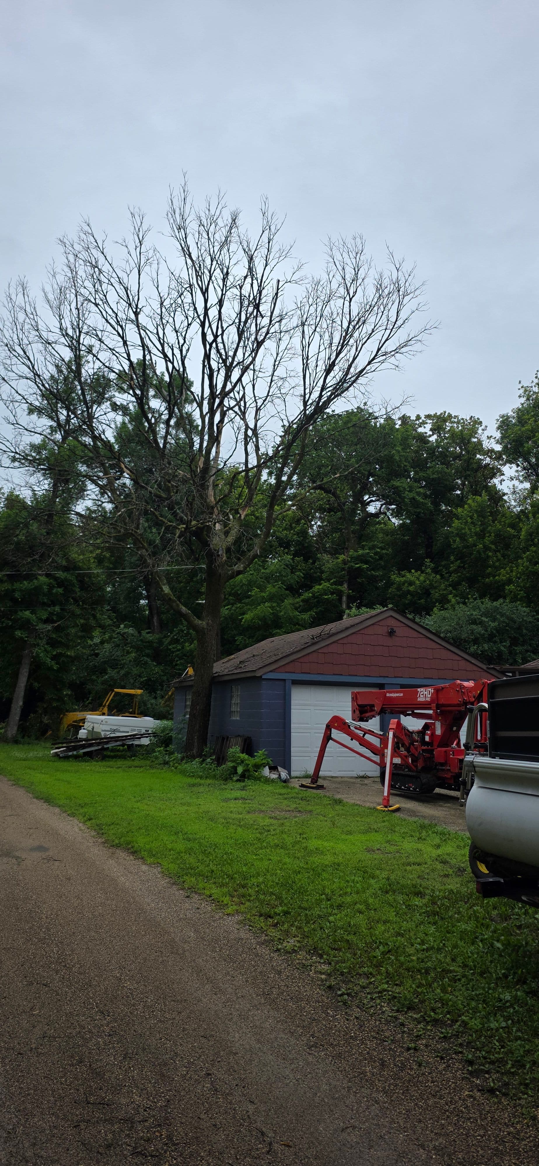 Project Dead Tree Removal Next to a Structure in Lake Lillian image