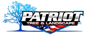 Patriot Tree & Landscape LLC