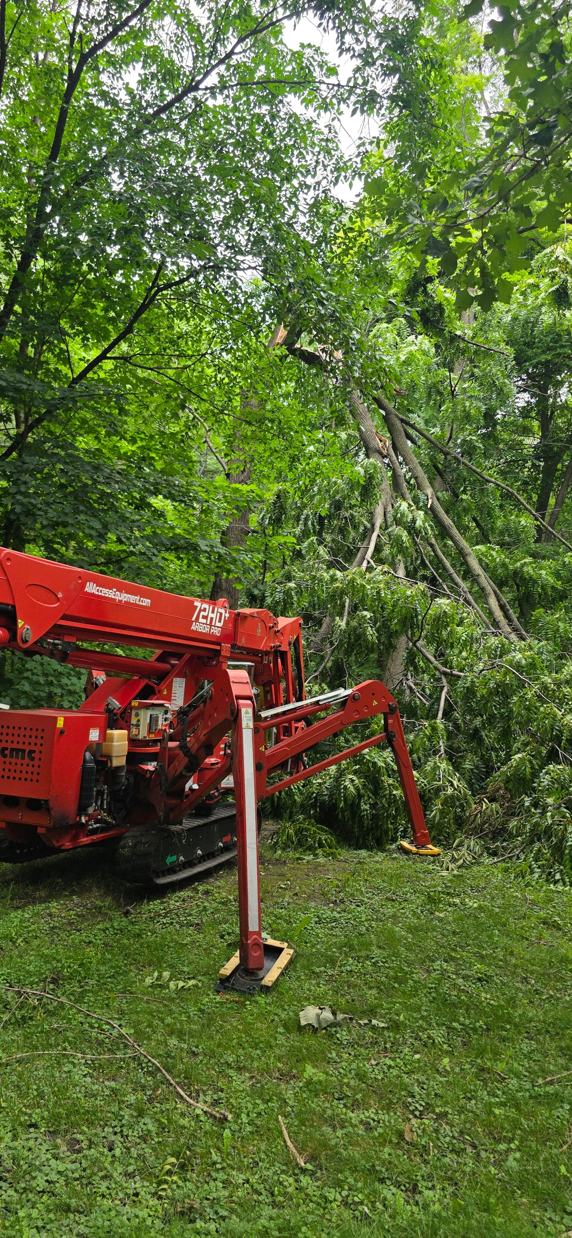 Storm Damage Cleanup After the 4th - We're Ready