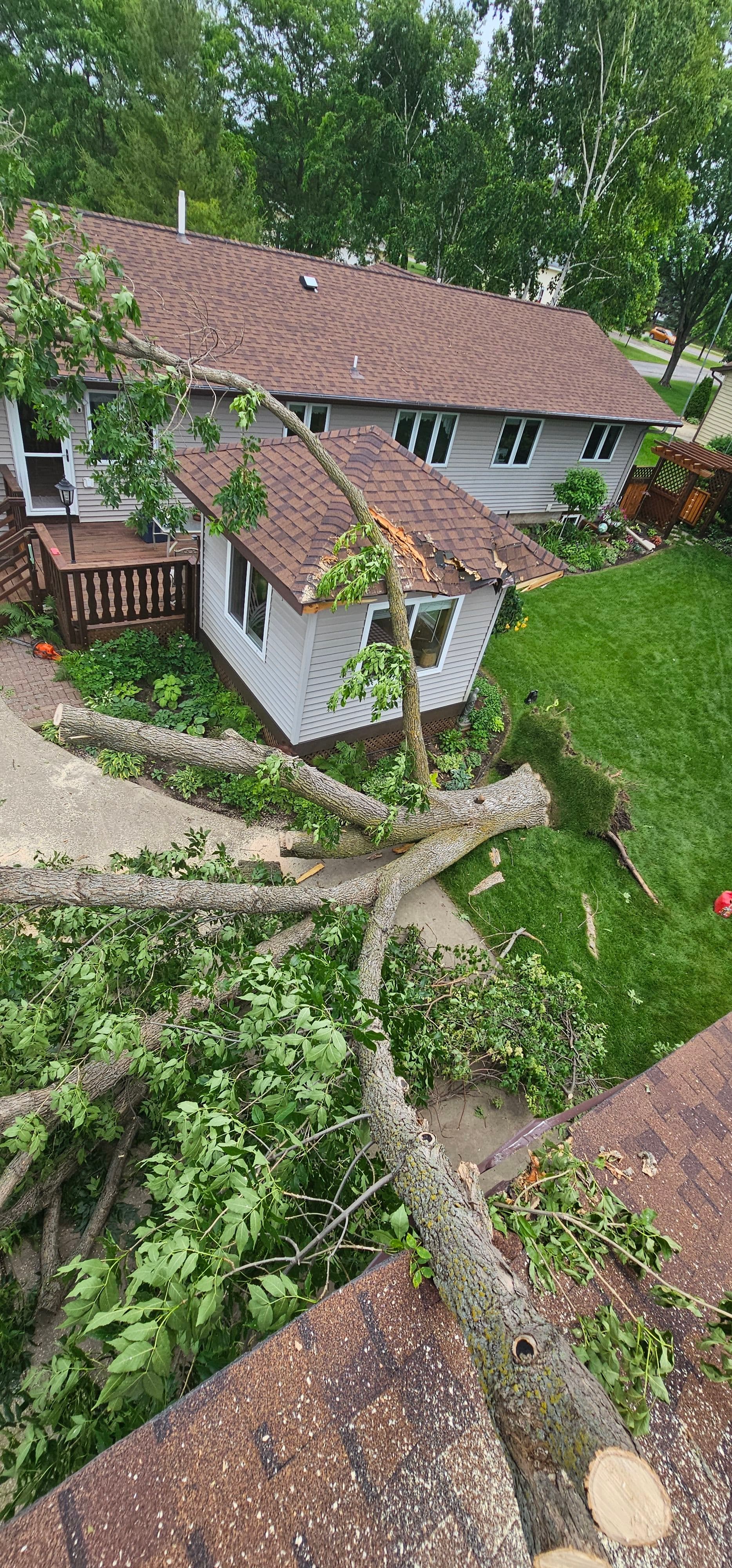 Project When a Tree Comes Down on Your Home, Every Minute Counts image