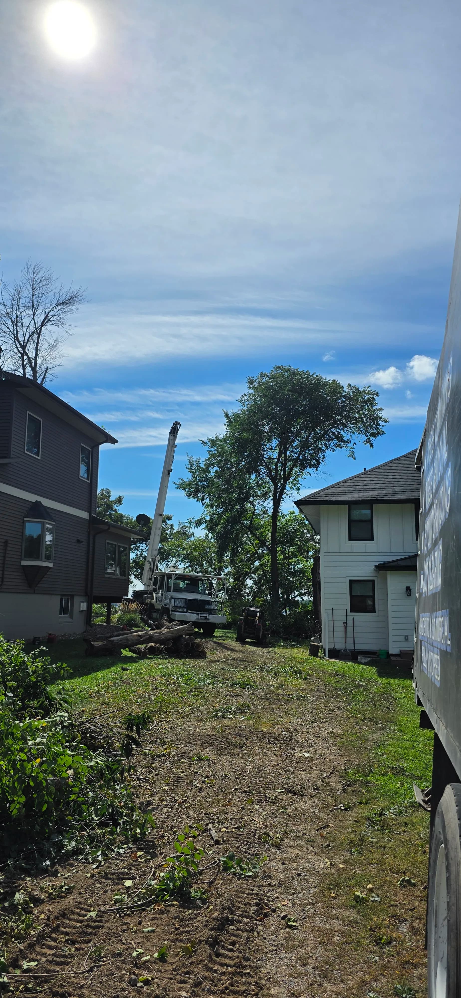 Project Tree Removal in a Tight Spot Between Two Homes image