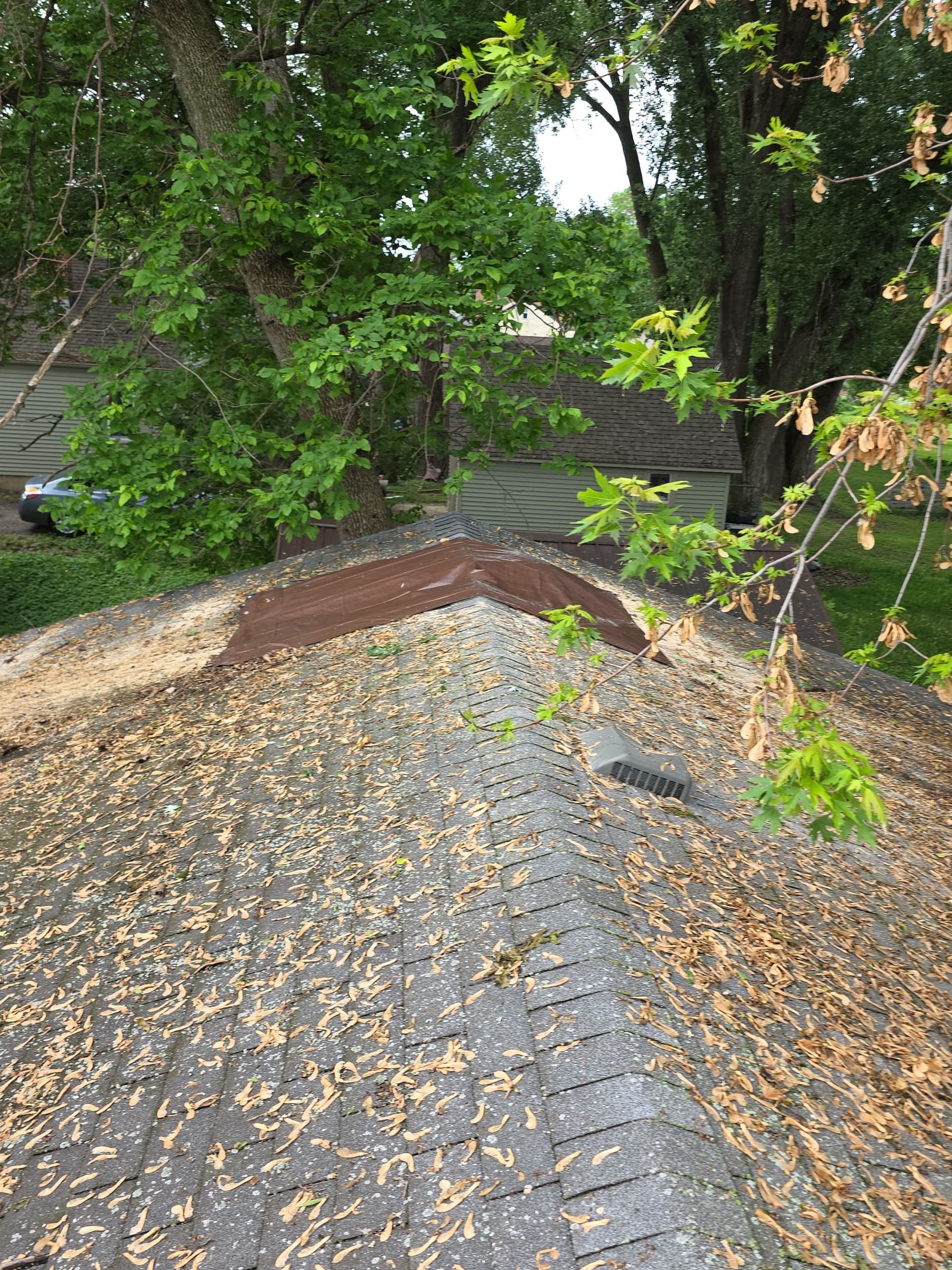 Gallery photos for Tree Through the Roof - Emergency Storm Damage Cleanup in Willmar: Image #3