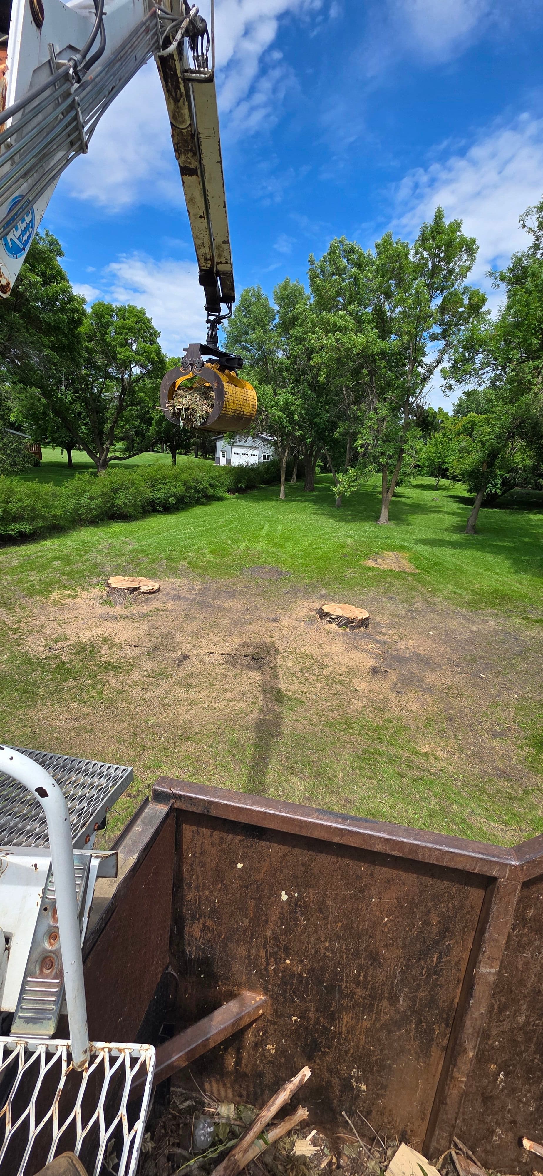 Gallery photos for Willow Tree Removal Done Right in Willmar: Image #1