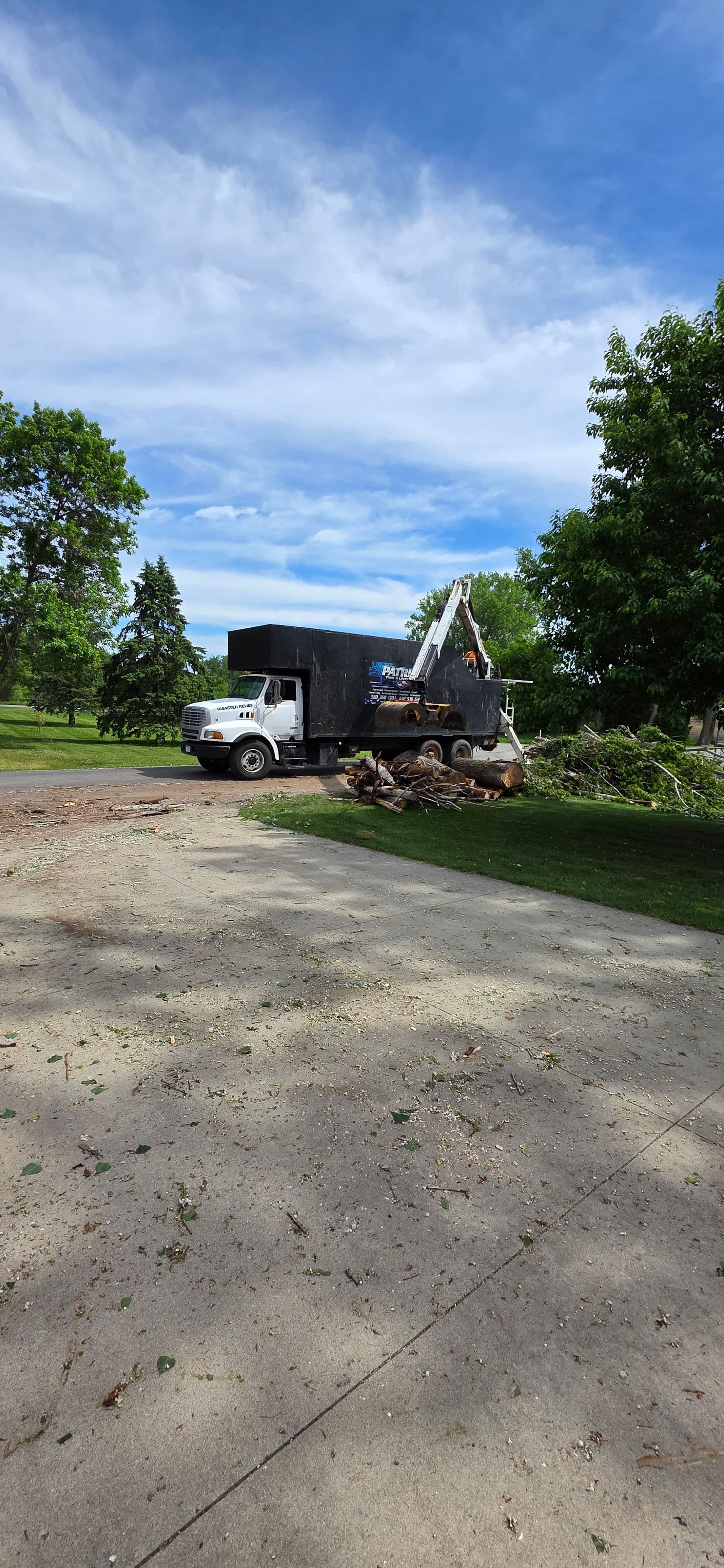 Project 85-Foot Dead Cottonwood Removed at Little Crow Golf Course image