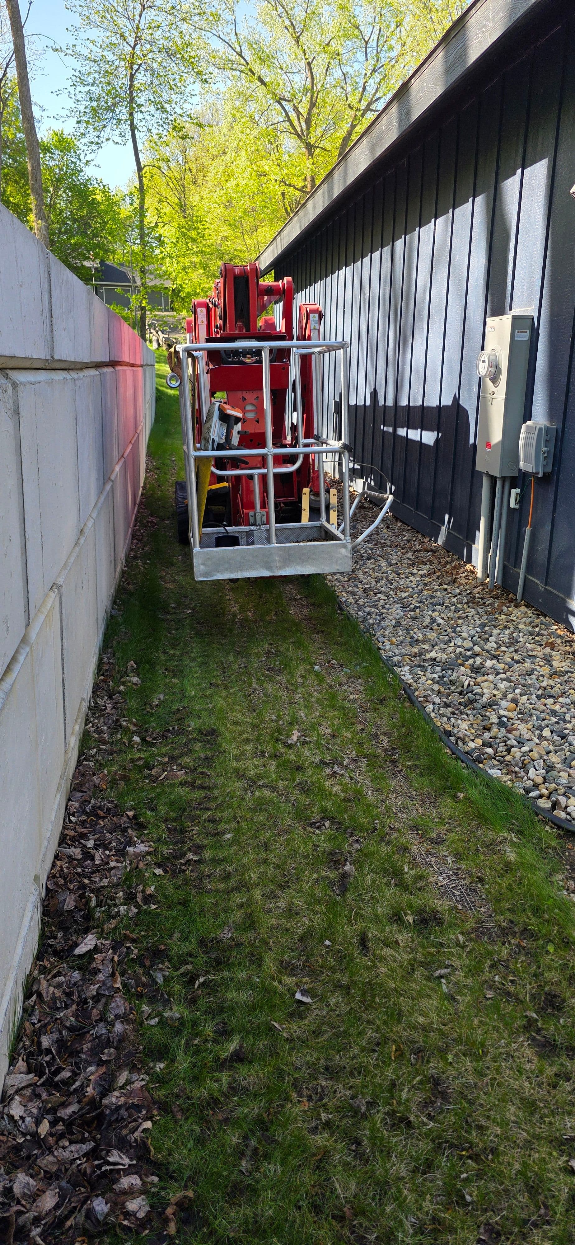 Project No Access? No Problem - Tree Work in Tight Spots image