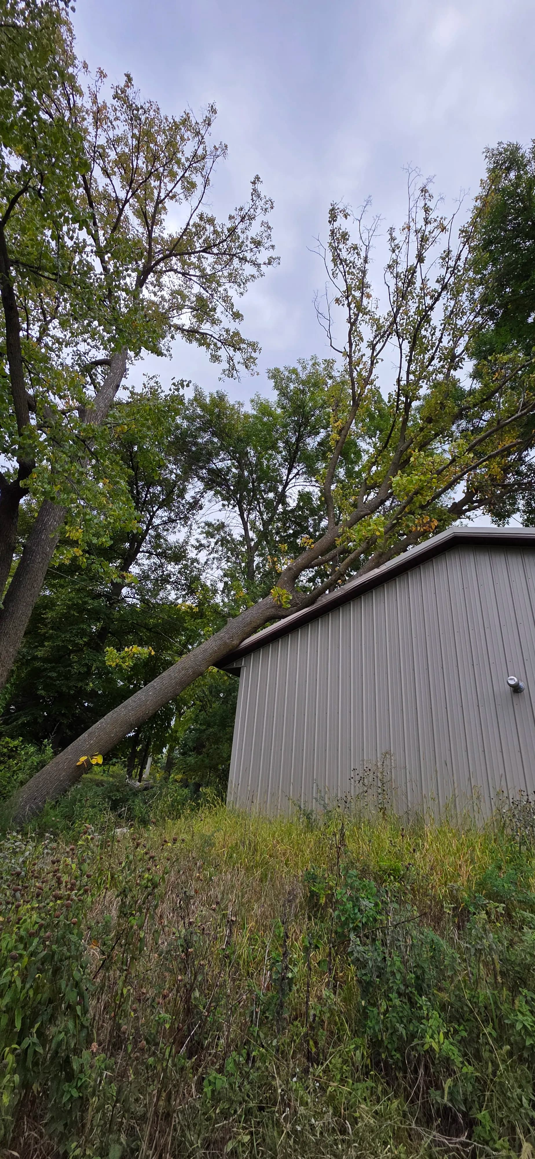 Tree Down on a Structure - We Dropped Everything to Help image