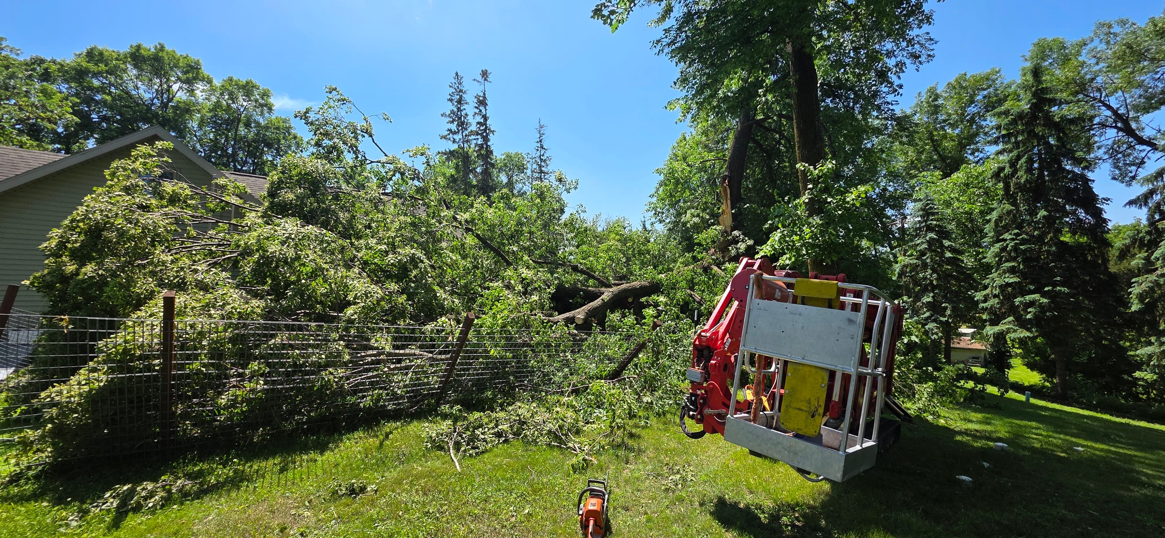 Project Storm Splits a Tree and We Were Ready to Handle It image
