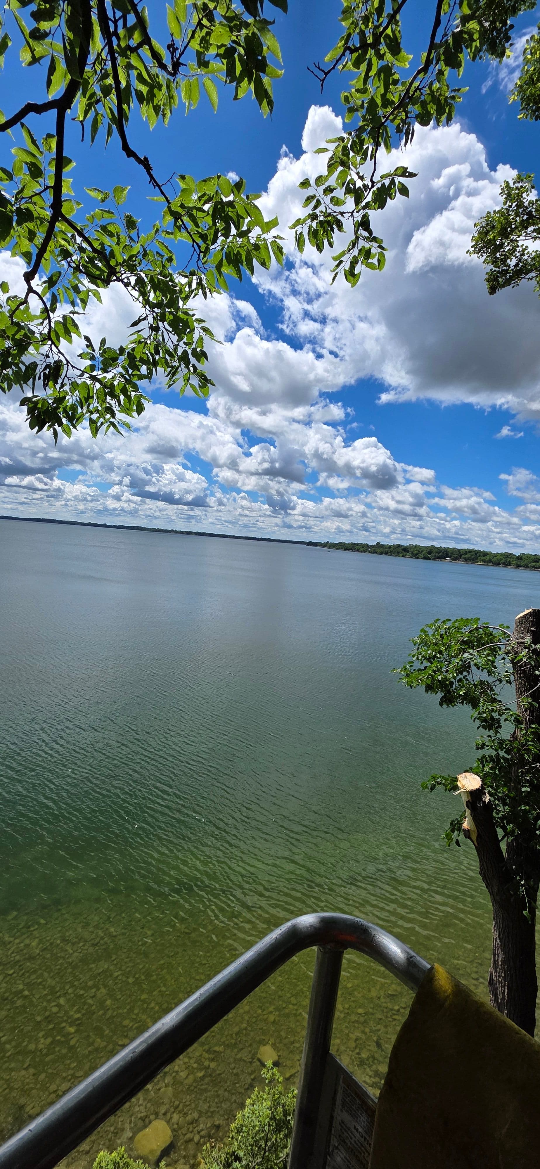 Project Tree Work on Green Lake Done Right image