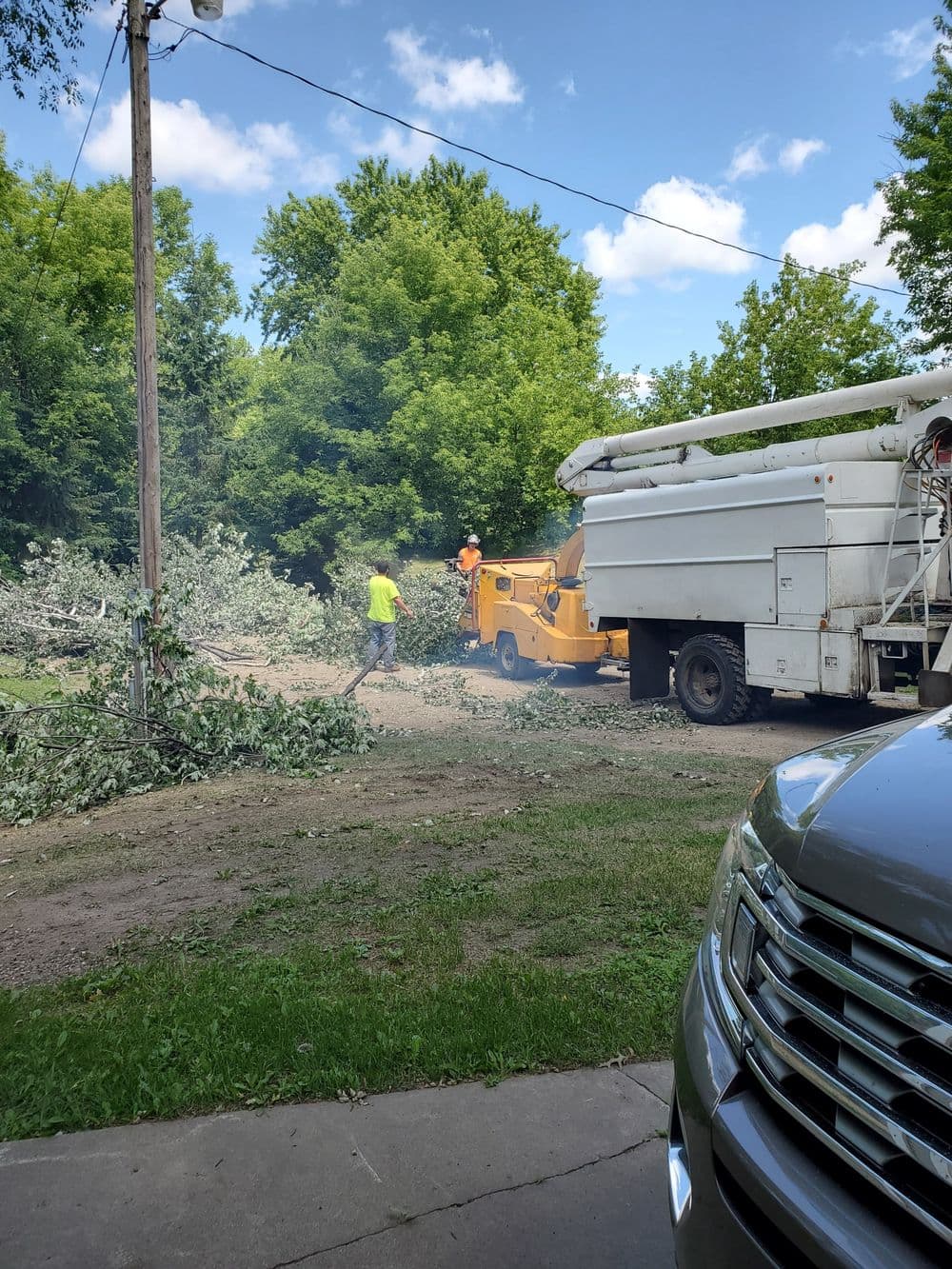 Tree removal service with chipper truck in residential area, workers clearing branches.