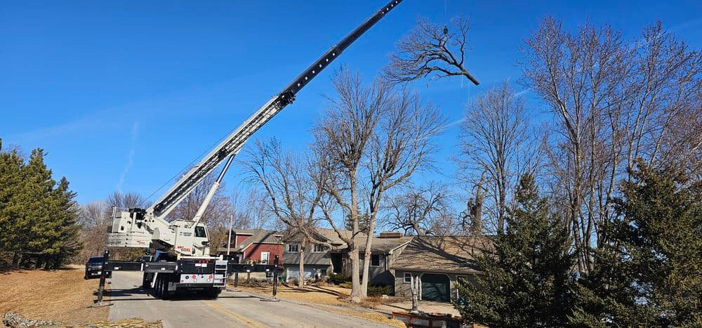 Tree removal operation using a crane in a residential area on a clear day.