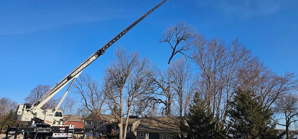 Crane removing tree branches against a clear blue sky near residential homes.