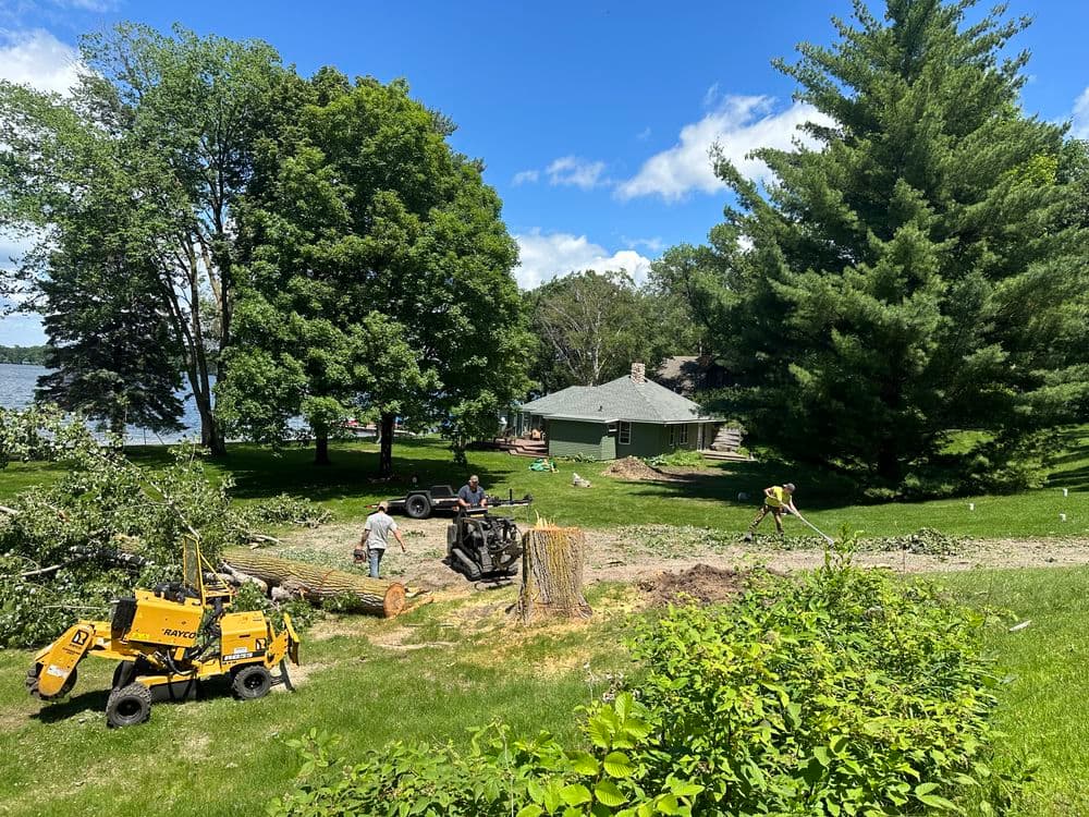 Tree removal work in a lakeside yard with machinery and workers near a green house.