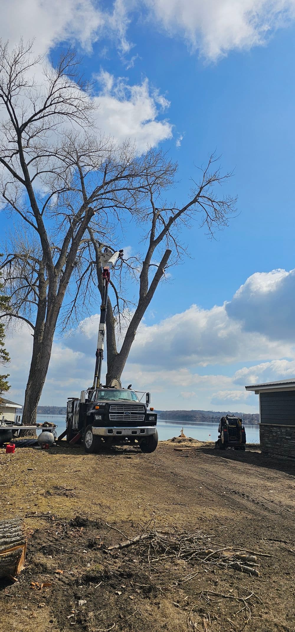 Tree removal service using a crane near a lake with clear blue skies.
