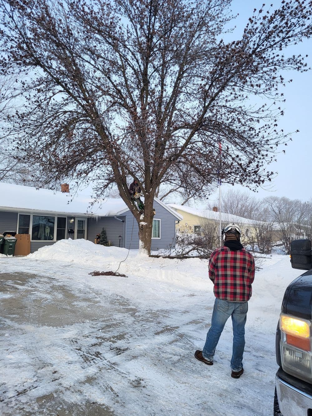Man in plaid jacket near a snowy driveway, watching a tree with bird feeders above.