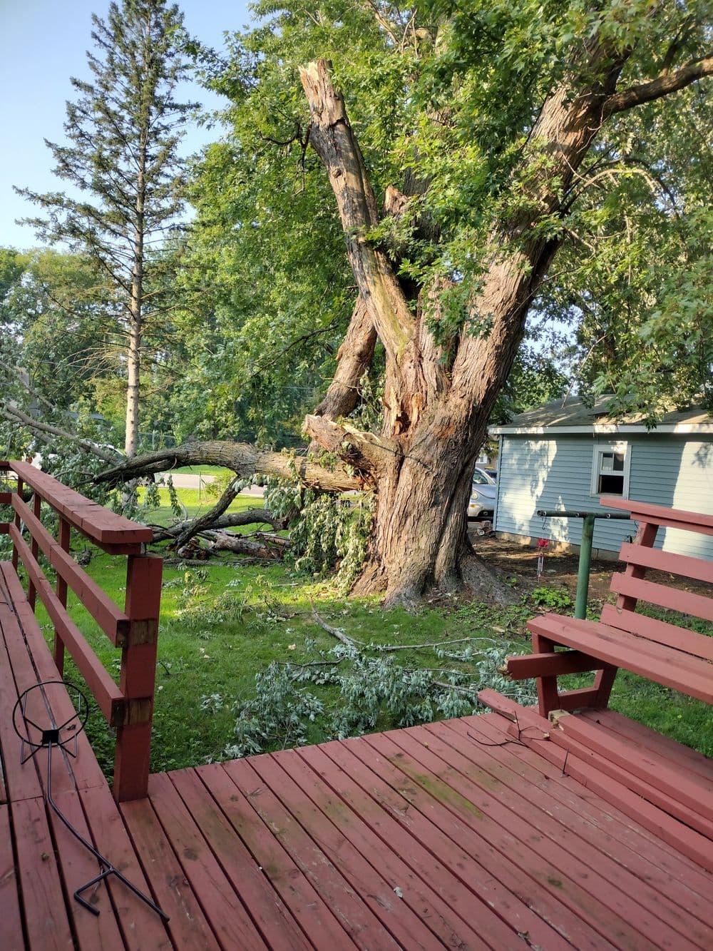 Large, damaged tree with fallen branches in a backyard, wooden deck in foreground.