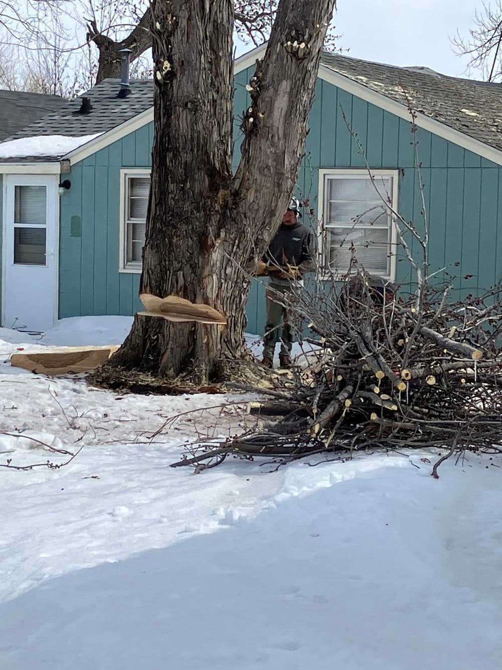 Tree trimming in winter near a turquoise house, with branches piled on snow.