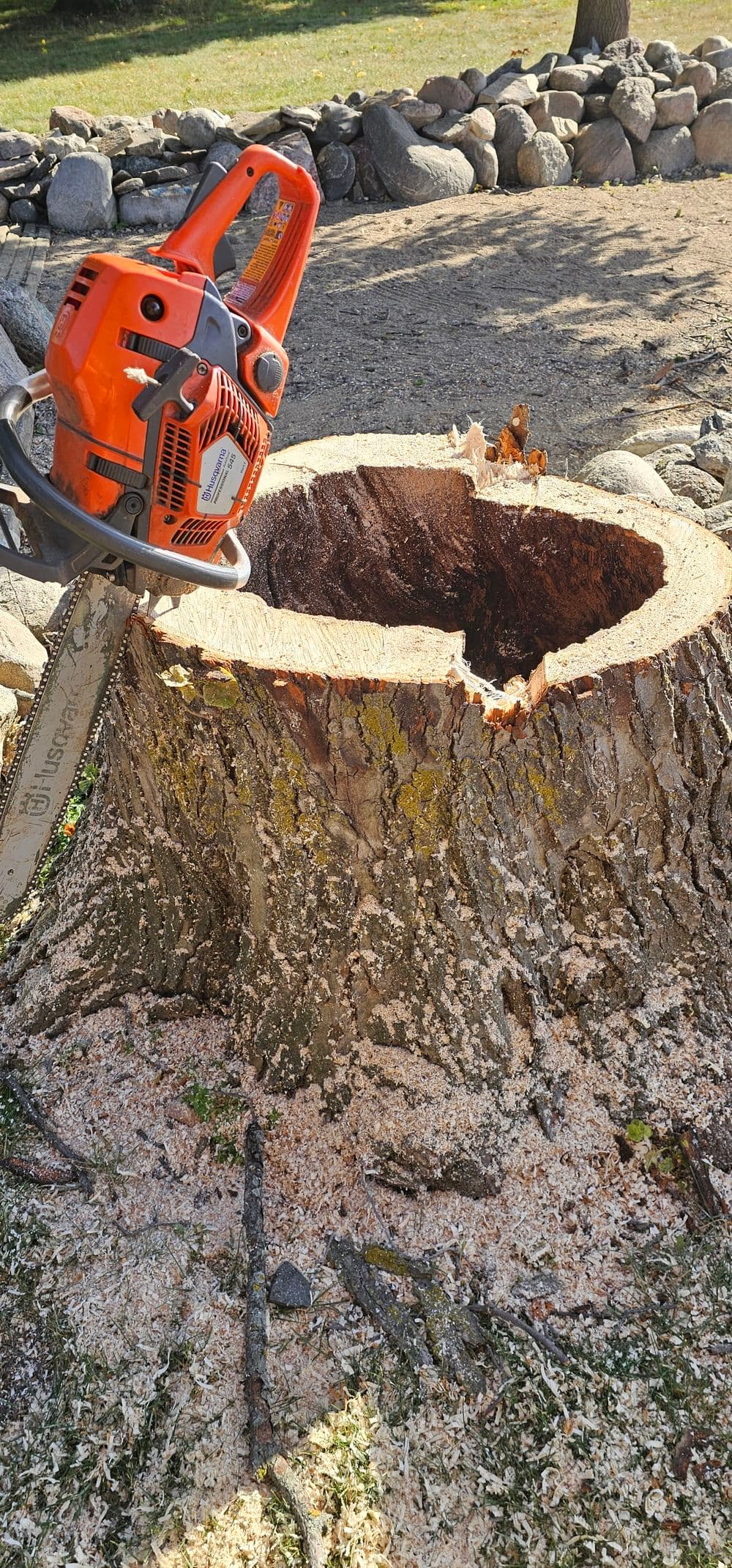 Chainsaw on a freshly cut tree stump surrounded by wood chips and stones.