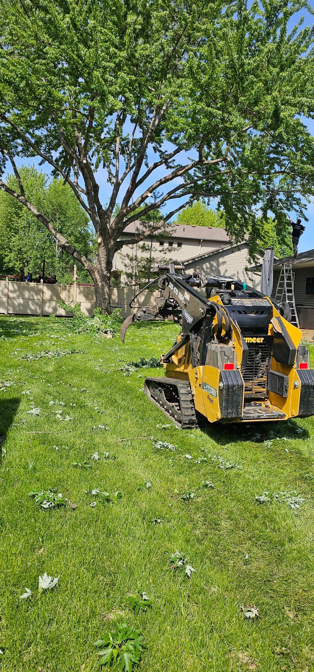 Compact track loader mowing grass under a large tree on a sunny day.