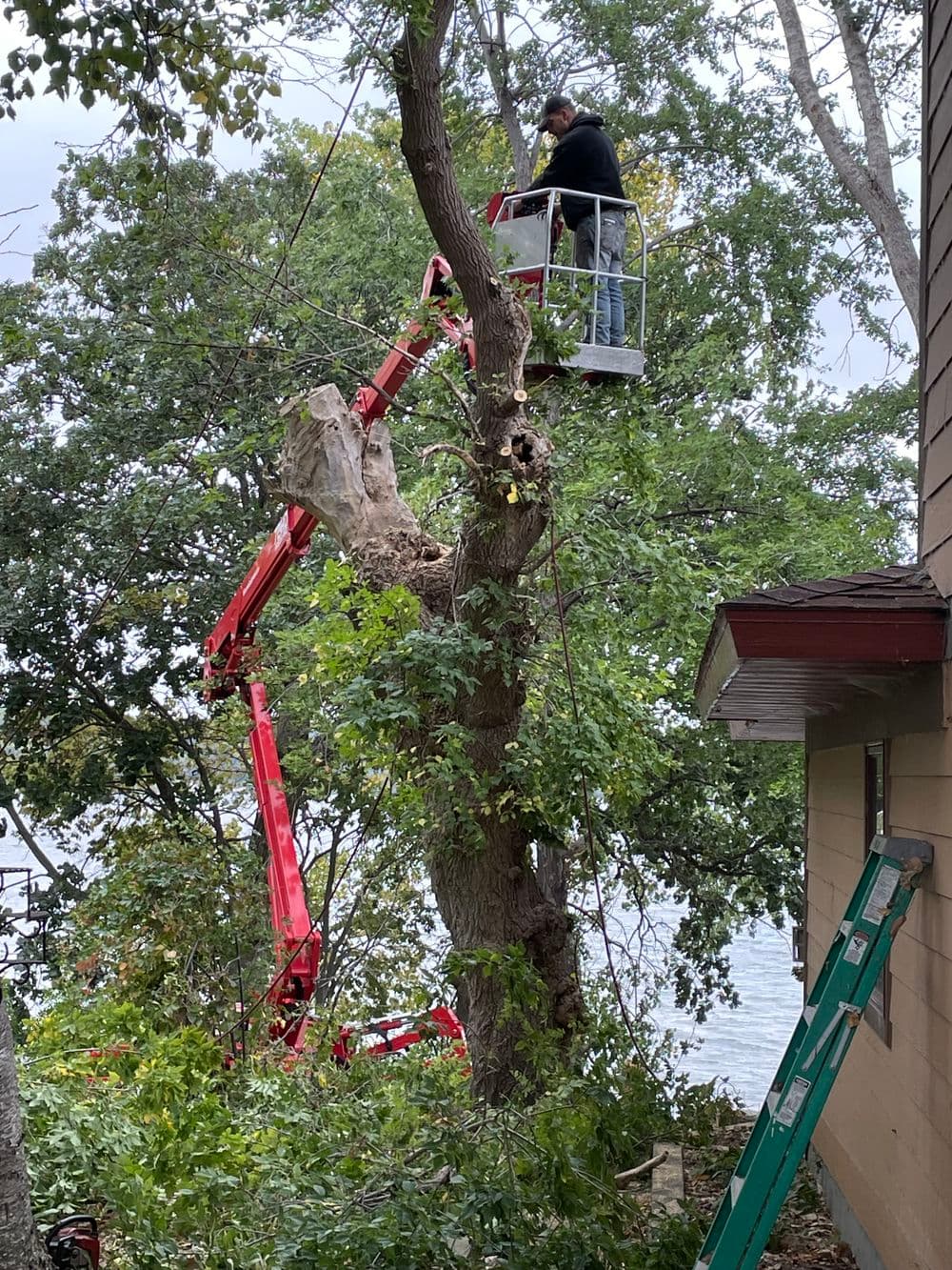 Tree trimming service using a lift near a house by the water, with a ladder nearby.