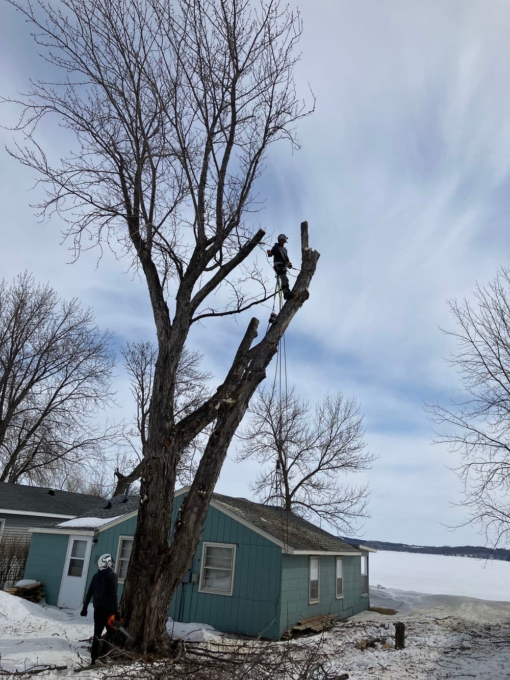 Tree removal in winter near a lake, with a person climbing a tall tree and another on the ground.