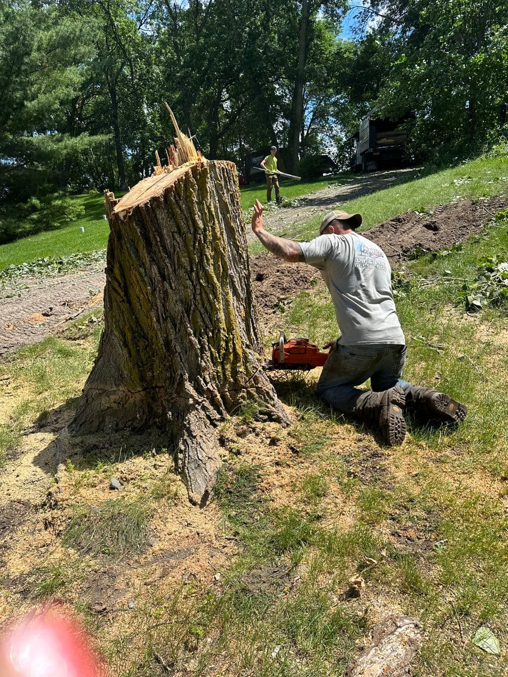 Tree stump removal in progress with a worker using a chainsaw in a landscaped area.