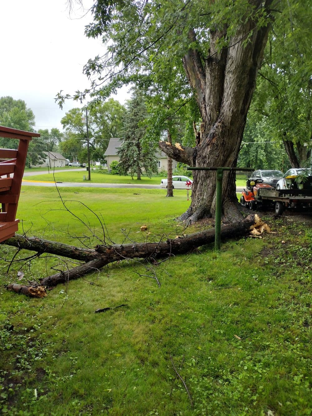 Fallen tree branch on grassy yard near residential street and parked cars.