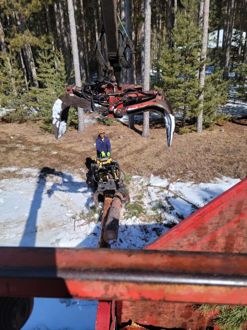 Logging equipment with operator lifts tree in snowy forest setting.