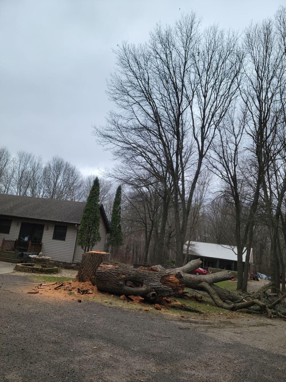 Fallen tree in front of a house, showing cut stump and remnants in a forested area.