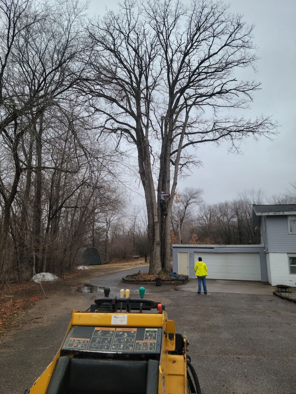 Tree removal in progress with a worker in a bright jacket near a residential home.