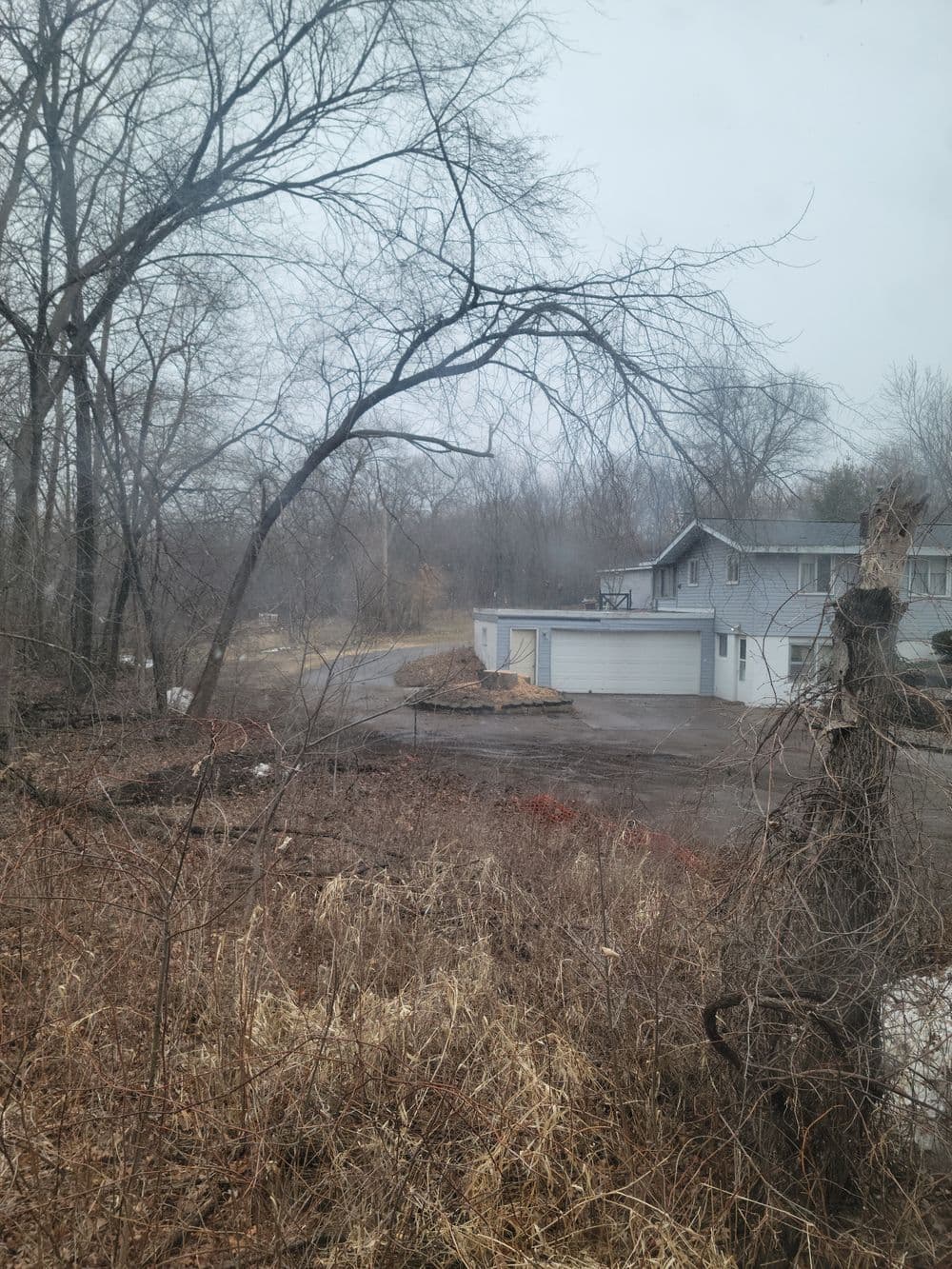Wintery suburban landscape with a house, bare trees, and overgrown grass in a foggy setting.
