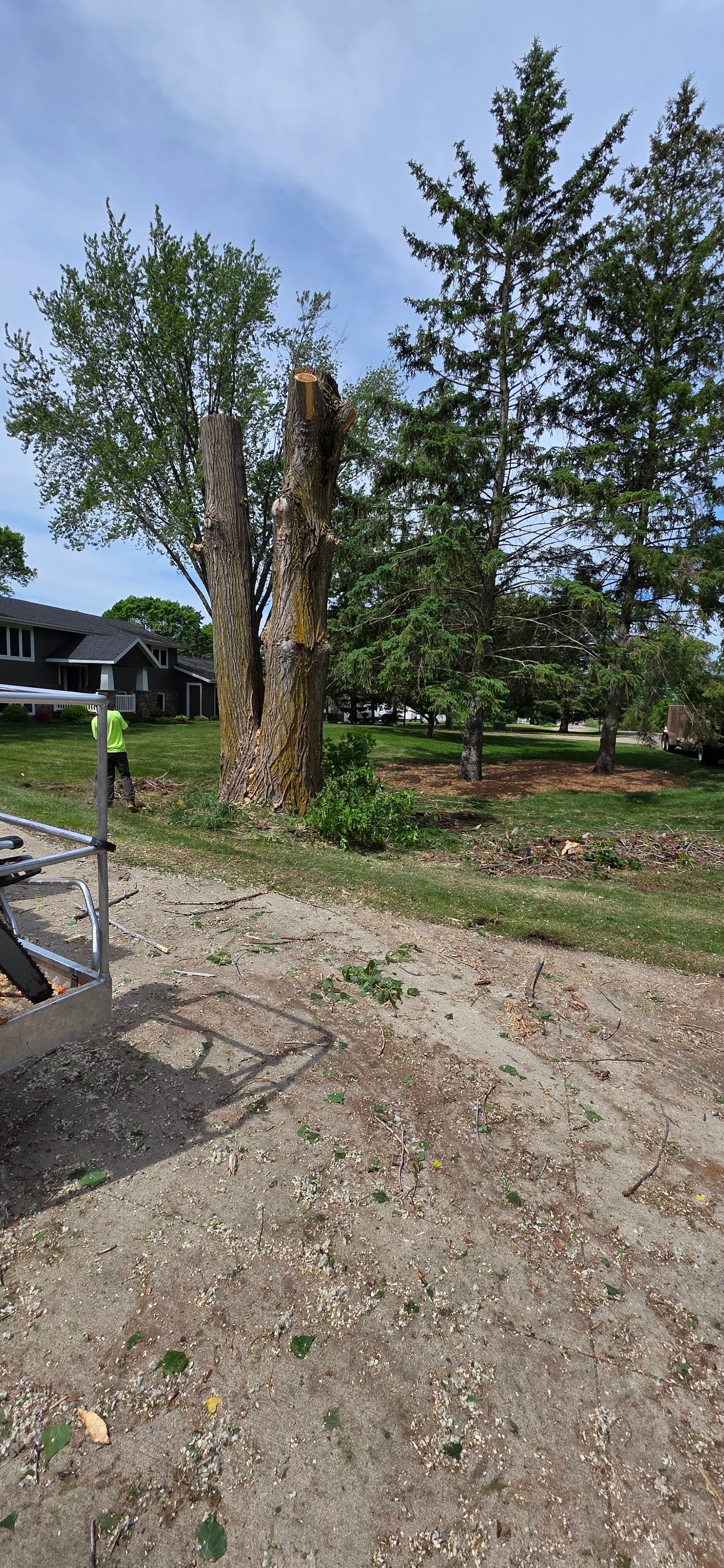 Gallery photos for 85-Foot Dead Cottonwood Removed at Little Crow Golf Course: Image #2