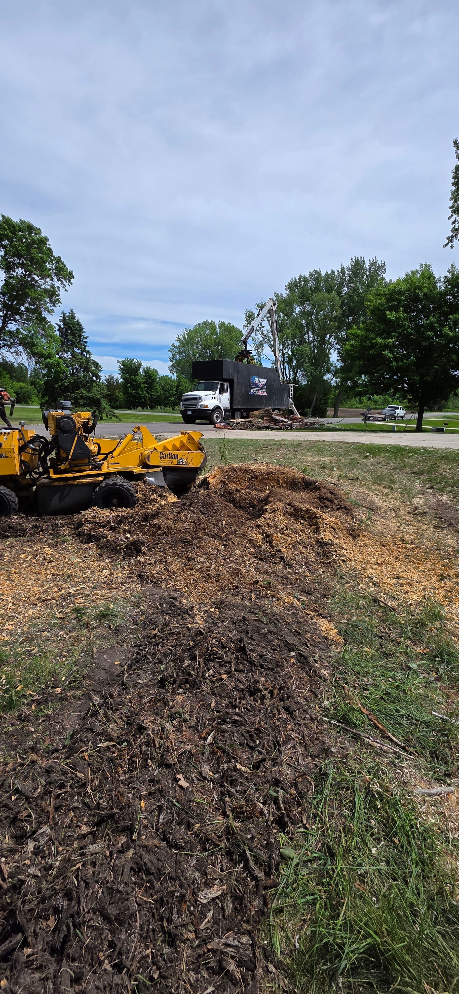 Gallery photos for 85-Foot Dead Cottonwood Removed at Little Crow Golf Course: Image #4
