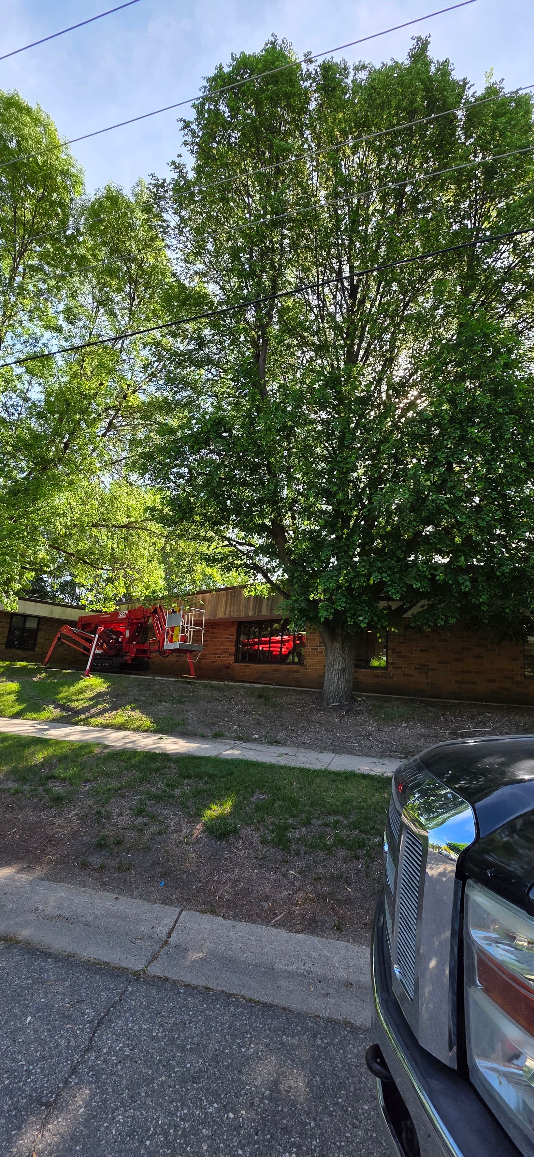 Tight Access Tree Work in Willmar MN? We've Got It Covered image