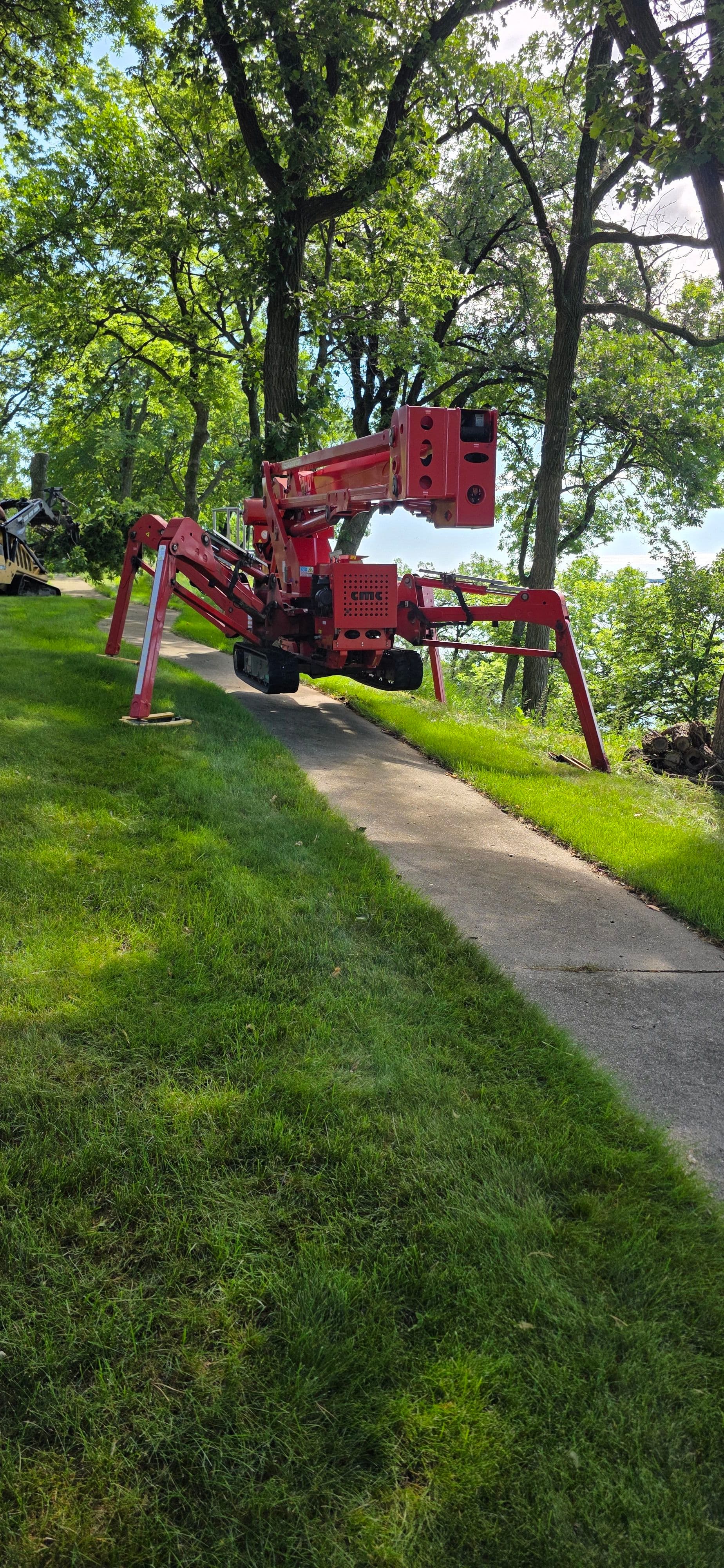 Spider Lift Tree Removal on a Steep Lakeside Property image