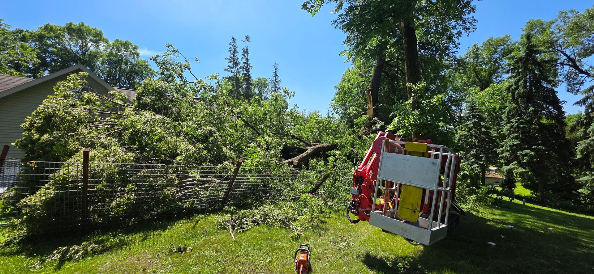 Storm Splits a Tree and We Were Ready to Handle It image